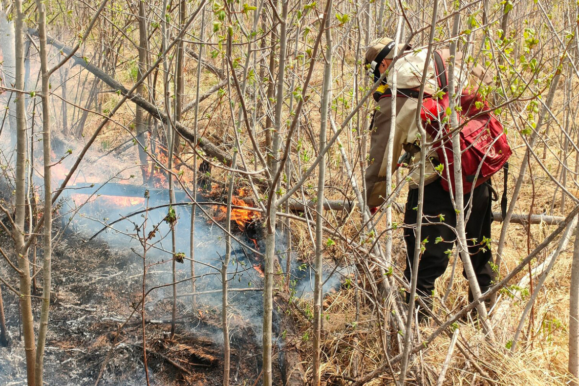 Анюйский нацпарк и Болоньский заповедник в Хабаровском крае спасли от огня