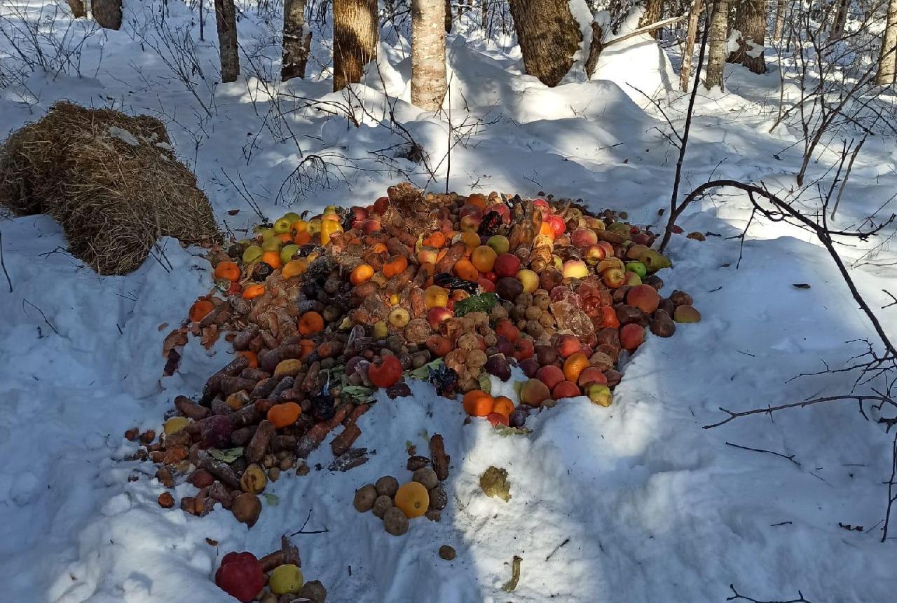 В хабаровской тайге диких зверей подкормили мандаринами