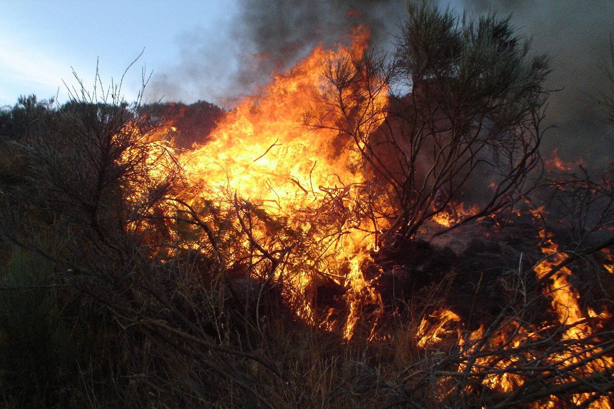 Площадь лесных пожаров за выходные в Хабаровском крае выросла до 18 тысяч гектаров