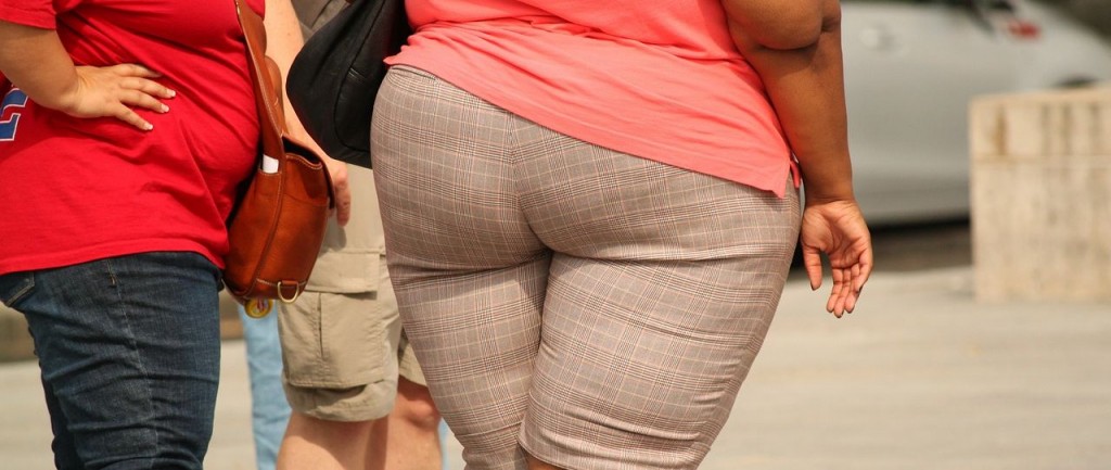thick-373064_1280.jpg thick-373064_1280.jpg