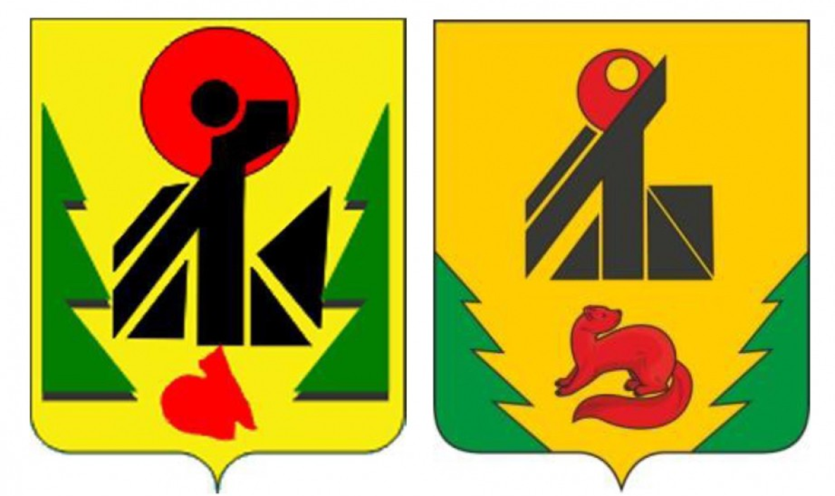 Символы Верхнебуреинского района получили государственное признание