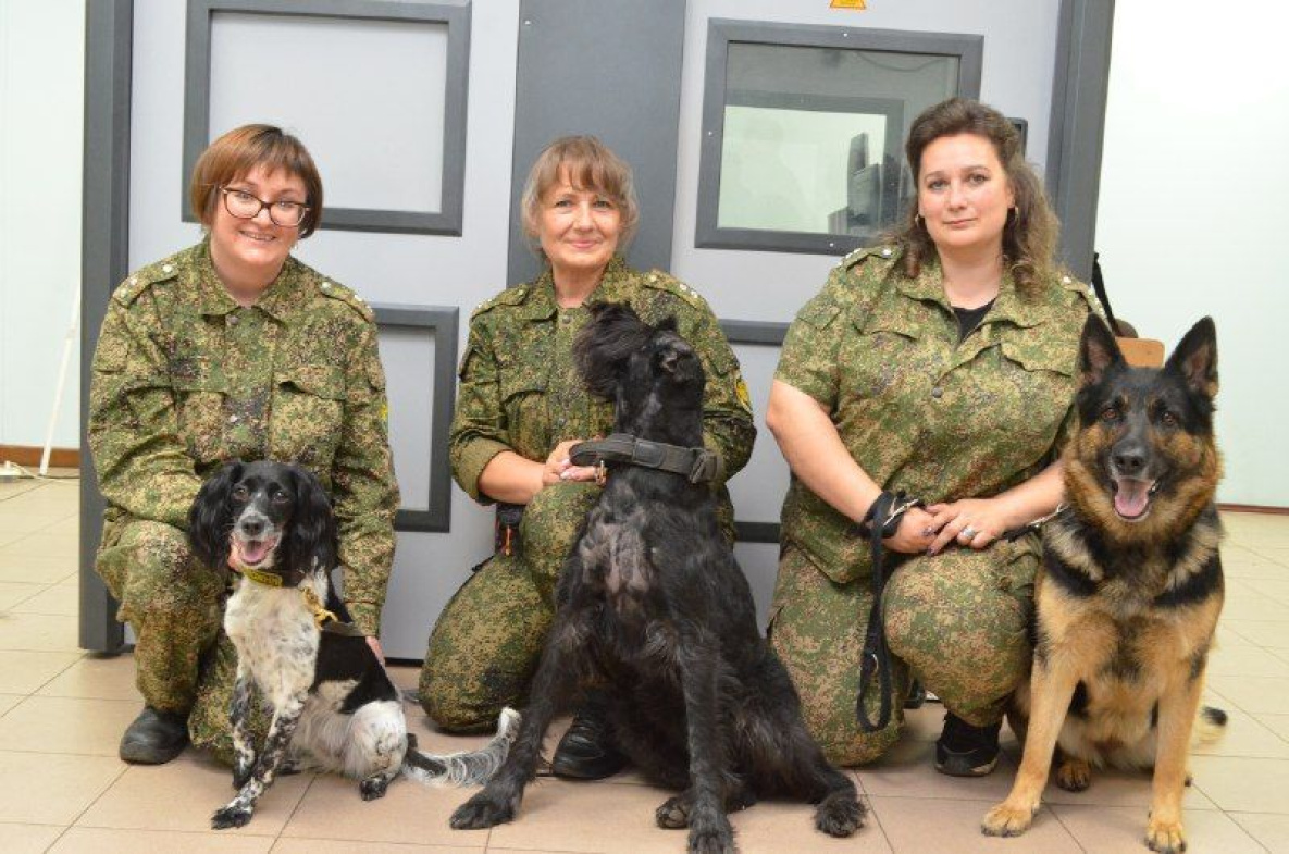 Служебные собаки Хабаровской таможни признаны лучшими в ДФО
