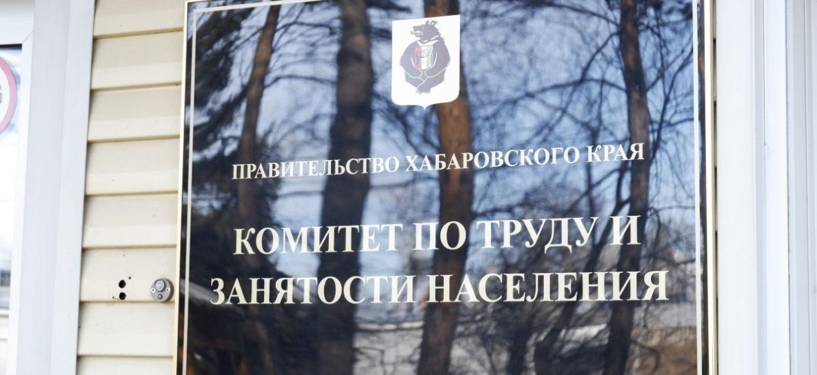 Центры занятости Хабаровского края переходят на новый режим работы 