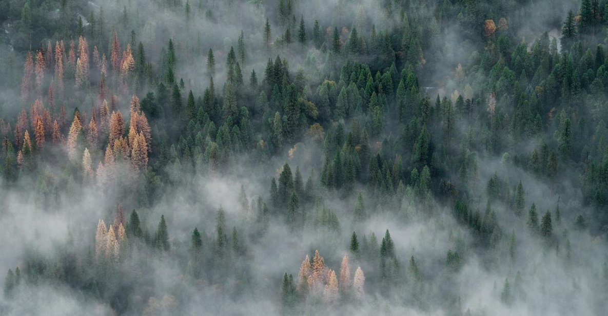 Север Хабаровского каря накрыло дымом от якутских пожаров