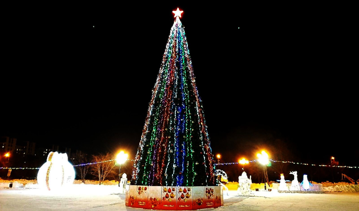 Комсомольск-на-Амуре отменил большой городской фейерверк на Новый год