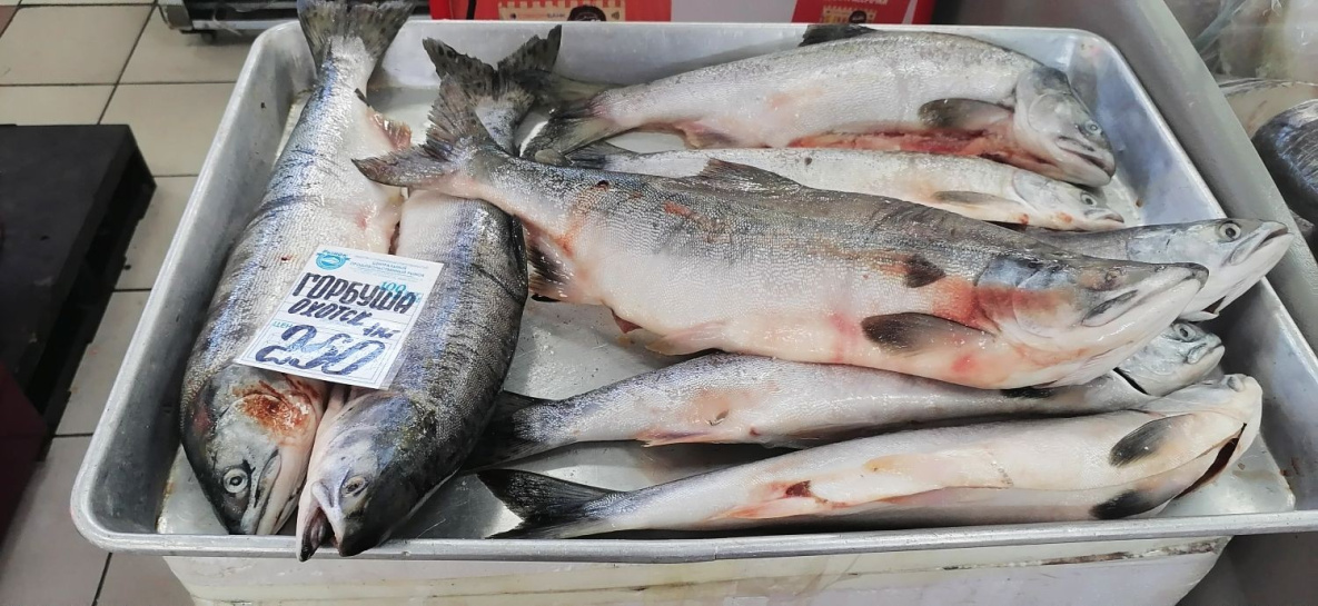 Что почём: В Хабаровске красная рыба доступнее по краевой акции