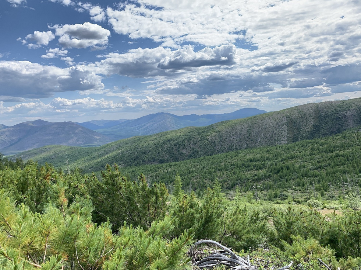 геологи в тайге. дальгеофизика хабаровск. геолог разведчик. геологическая разведка. росгеология хабаровск.