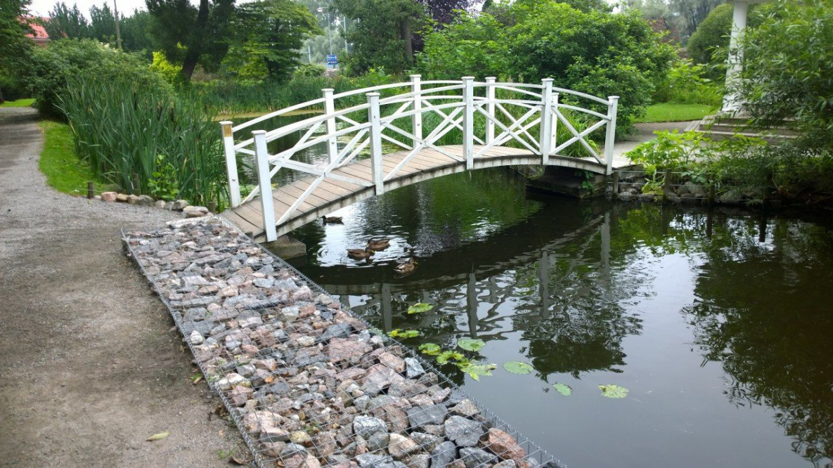 В Вяземском благодаря жителям может появиться парк с мостом