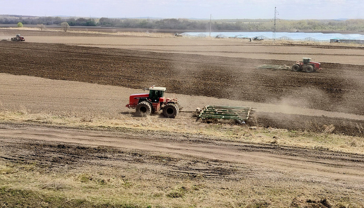 Хабаровским аграриям разрешат менять назначение сельхозземель