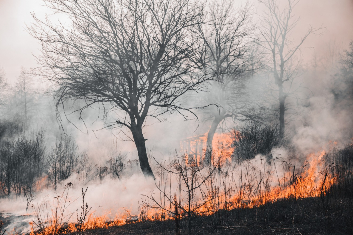 Заповедные земли в Хабаровском крае спасают от пожара