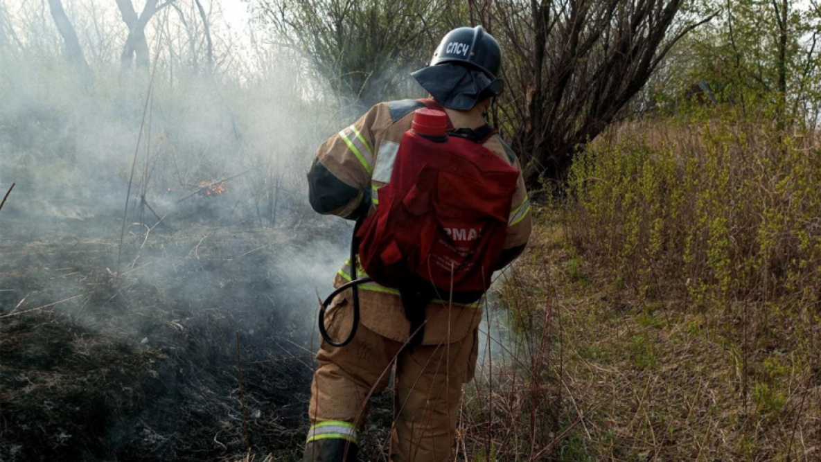 Режим ЧС ввели в Хабаровском крае из-за лесных пожаров