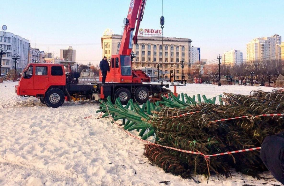 Главную новогоднюю ель начинают монтировать в Хабаровске