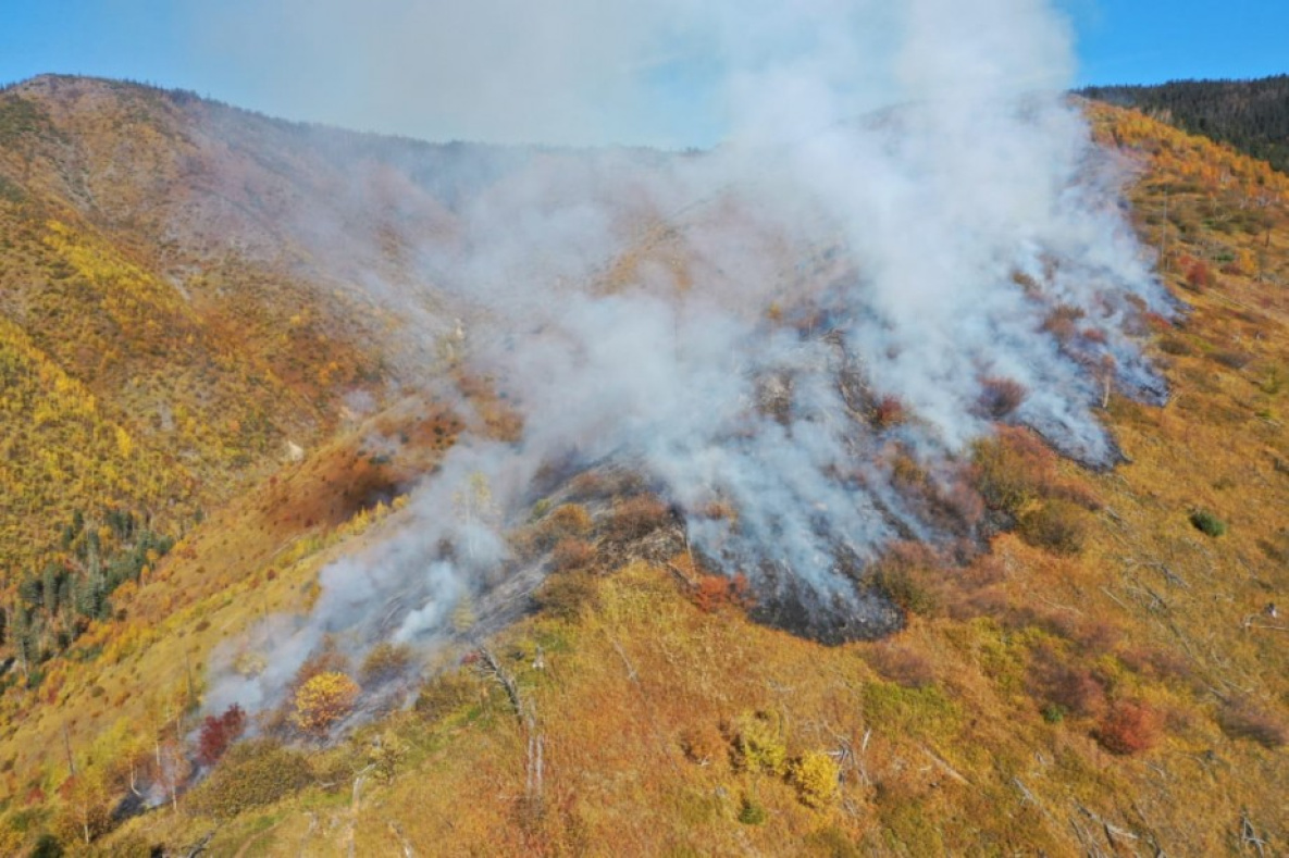 Вспыхнувший в Солнечном районе пожар «усмиряет» лесоохрана