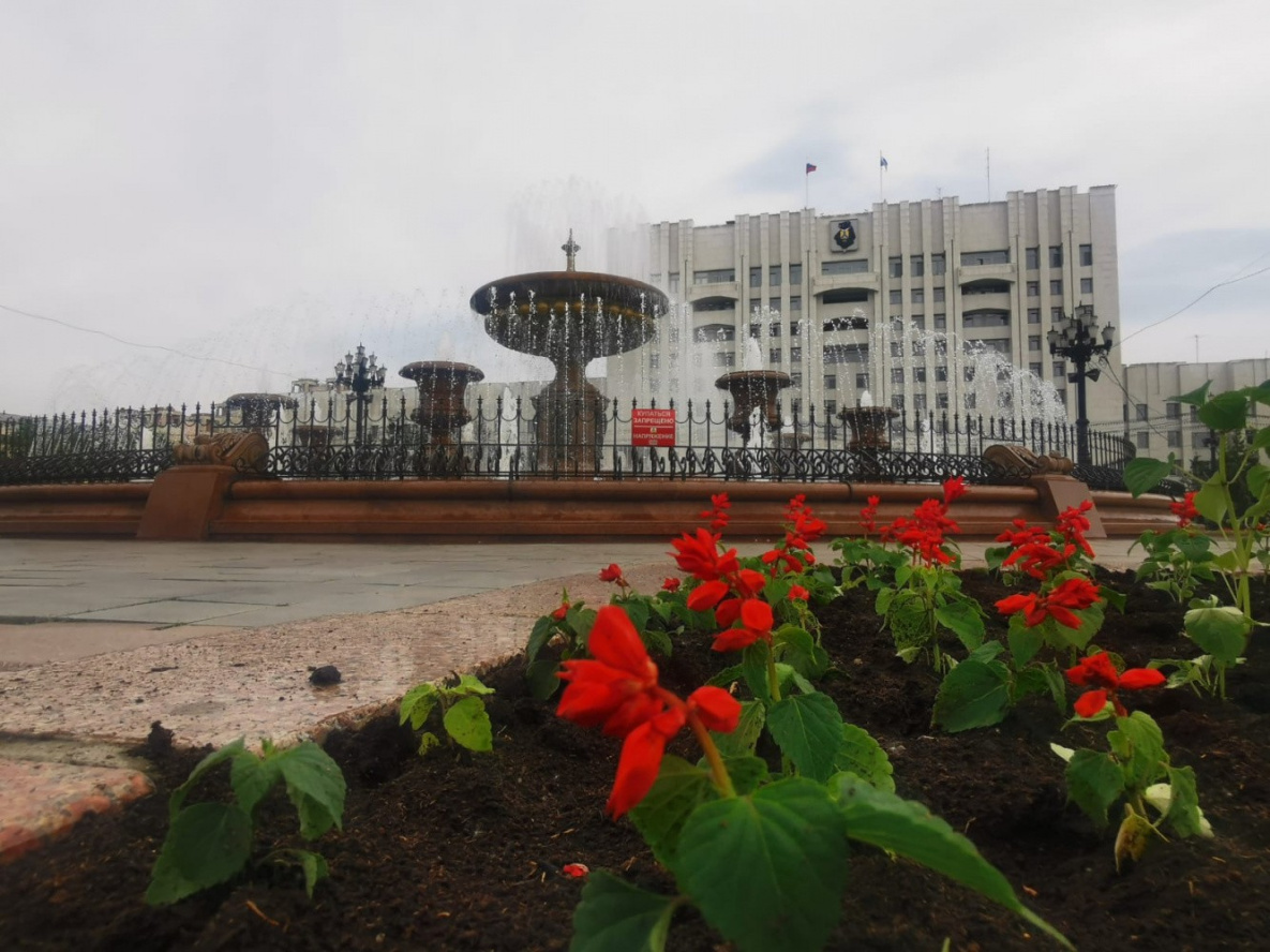 Хабаровскую площадь Ленина украсят 90 тысяч цветов