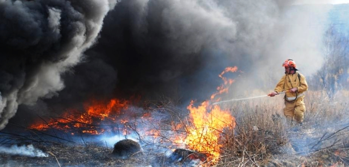 Сильные лесные пожары ожидают летом в Хабаровском крае