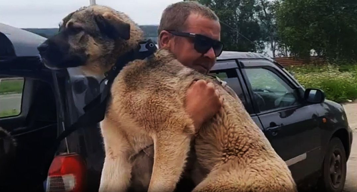 В Хабаровском крае волонтёры ловят бродячих собак
