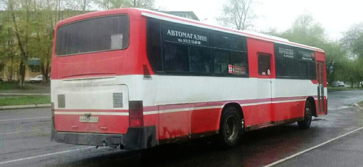 Из-за чумы свиней в Хабаровском крае проверяют пассажиров автобусов