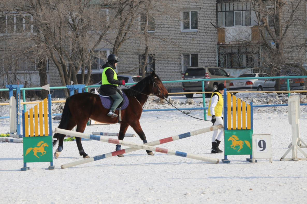 В Хабаровске открыли сезон по детскому адаптивному конному спорту