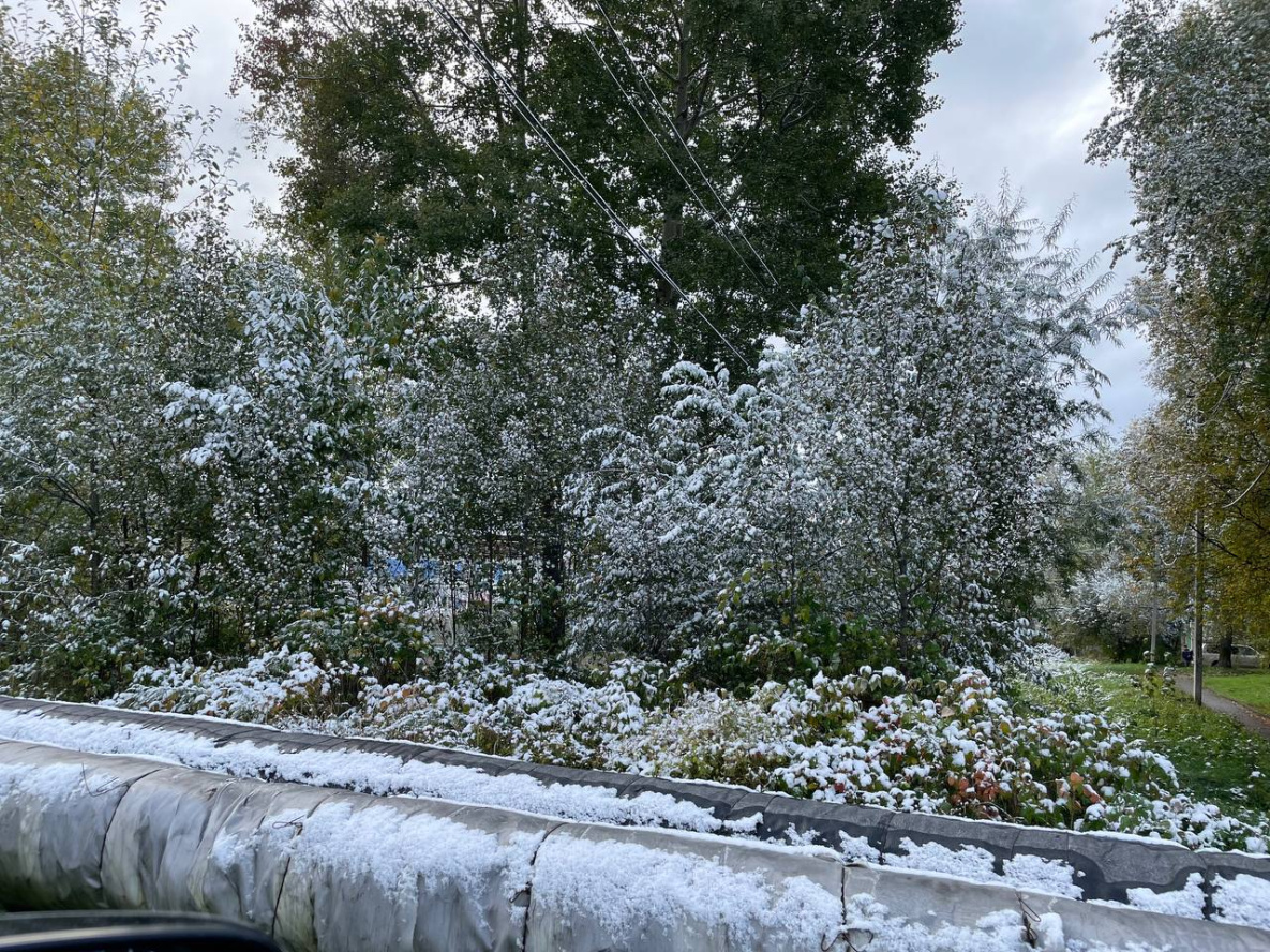 Хабаровске выпал снег. Первый снег. Хабаровский край снег. Снег в Хабаровске 2022. Выпал снег.