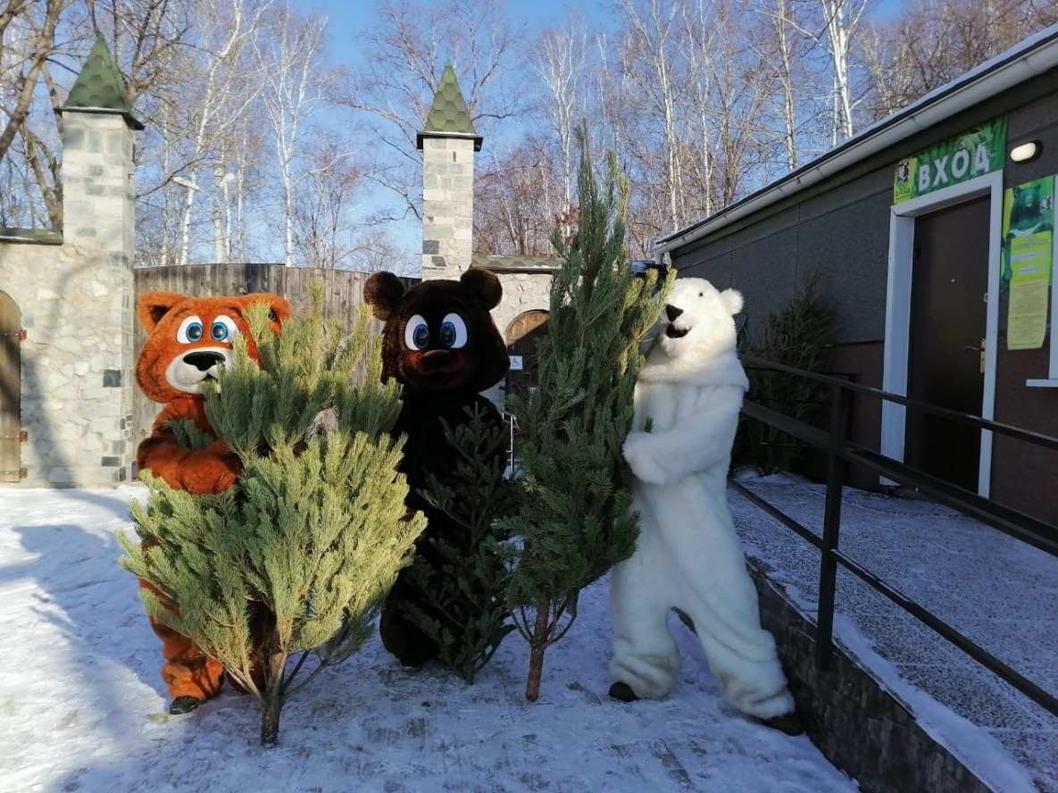 В Хабаровске собрали больше 5 тысяч елок для питомцев зоосада