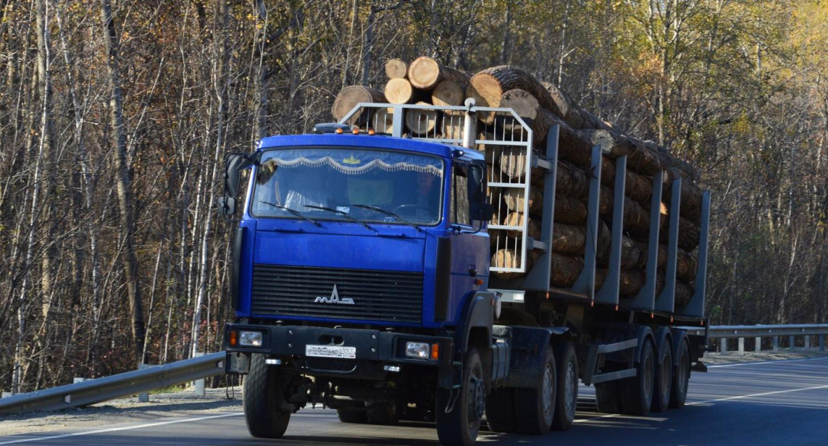 Хабаровчан обвинили в контрабанде в КНР леса на 1,7 млрд рублей