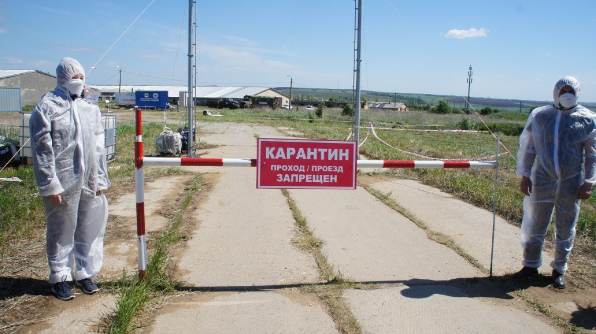 В Хабаровском крае ликвидируют ещё один чумной очаг
