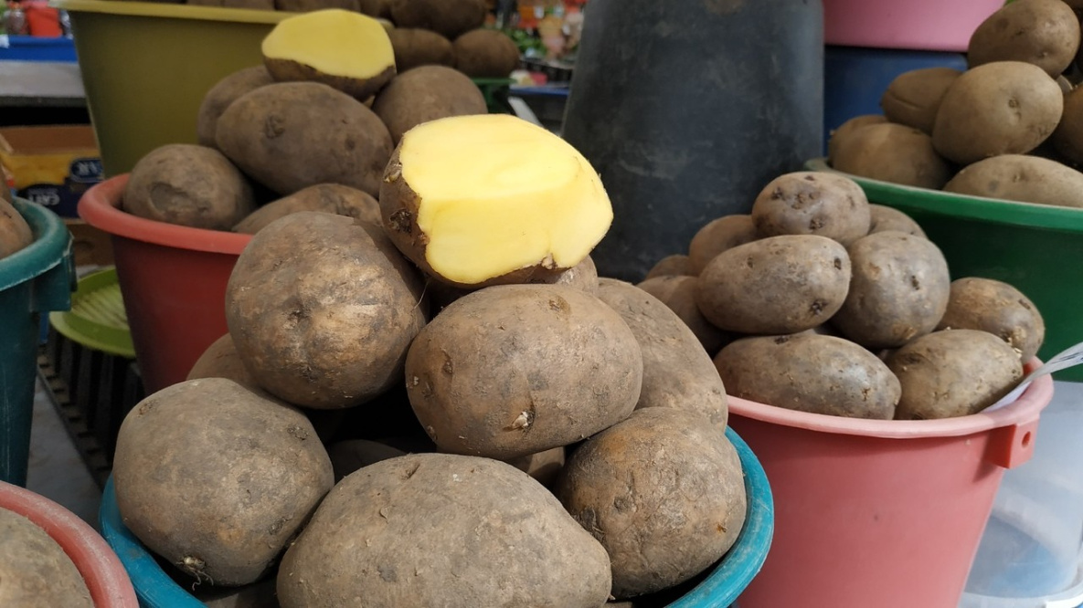 Китайский картофель не может пробиться в Хабаровск через границу