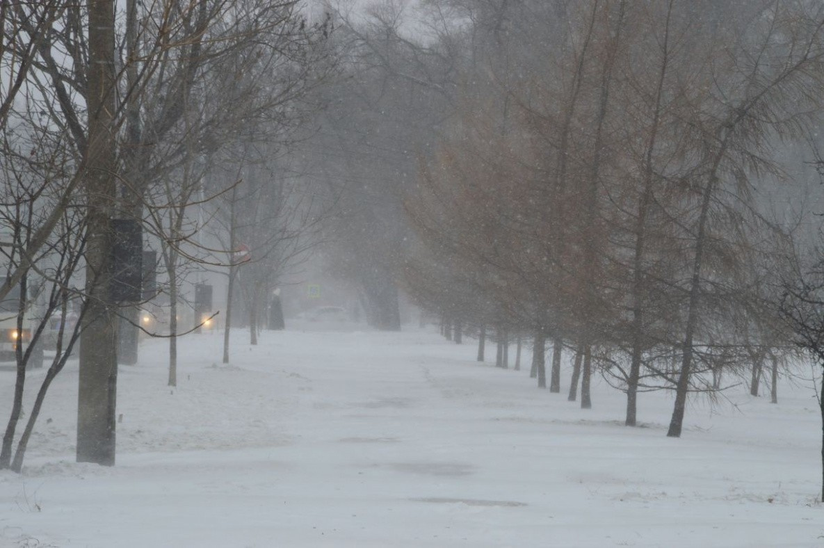 Снег и метель принесет в Хабаровский край циклон в первый день зимы