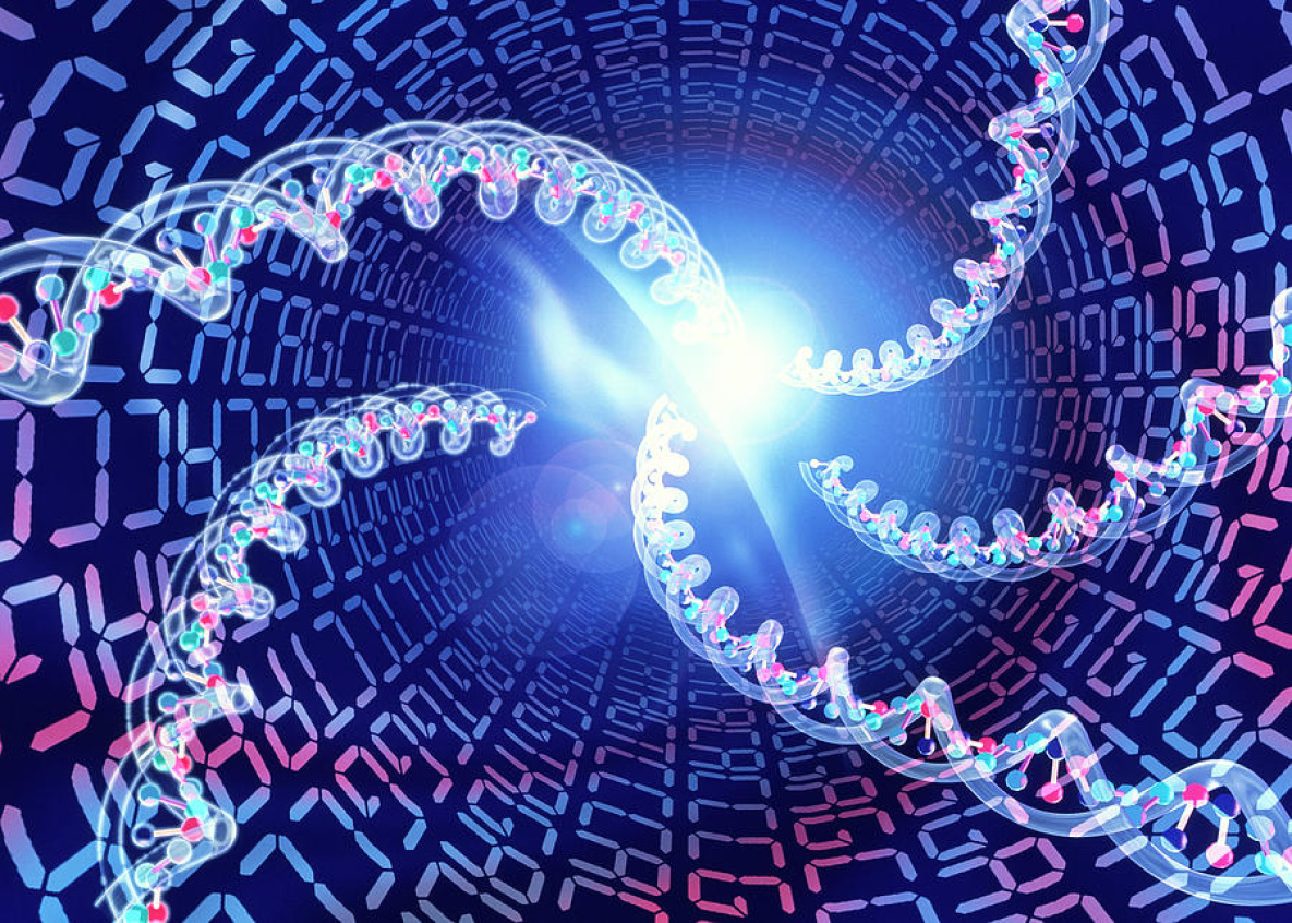 Математическая генетика. Генетический код человека. Молекула ДНК. Генетика ДНК. Код ДНК.
