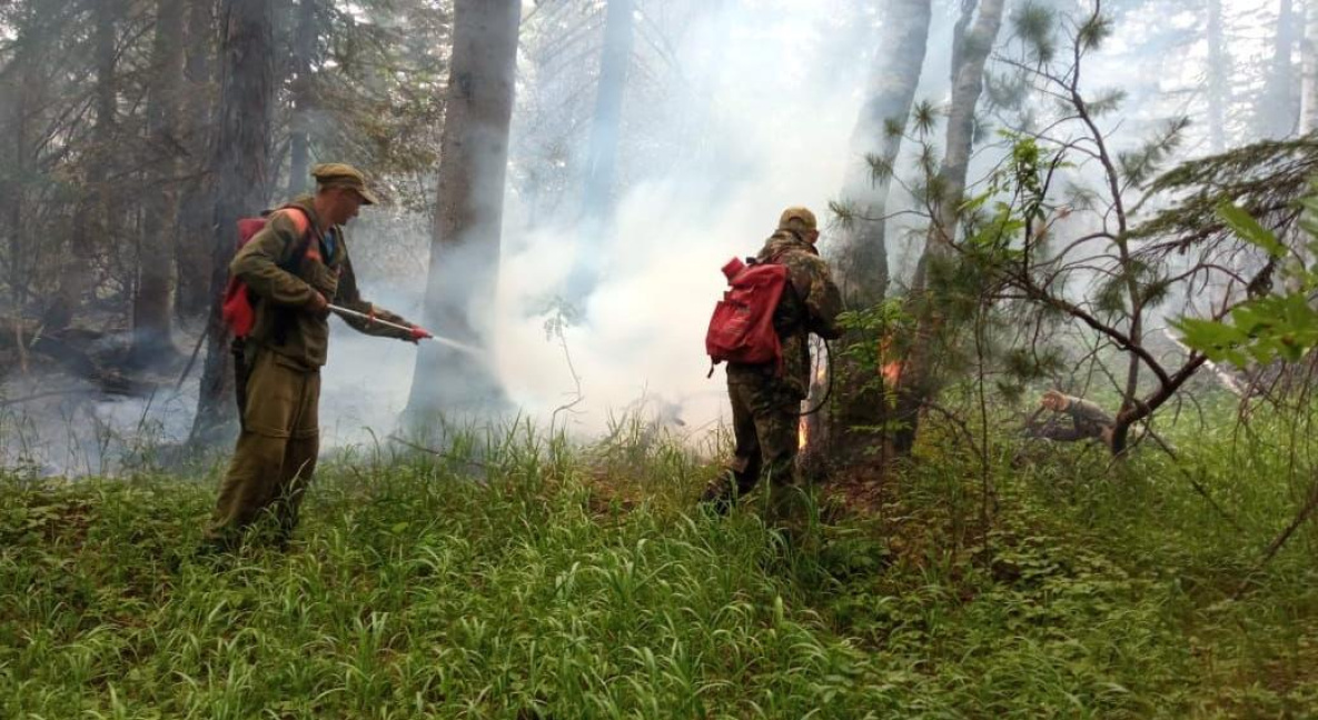На Хабаровский край пришлась треть лесных пожаров России этого года