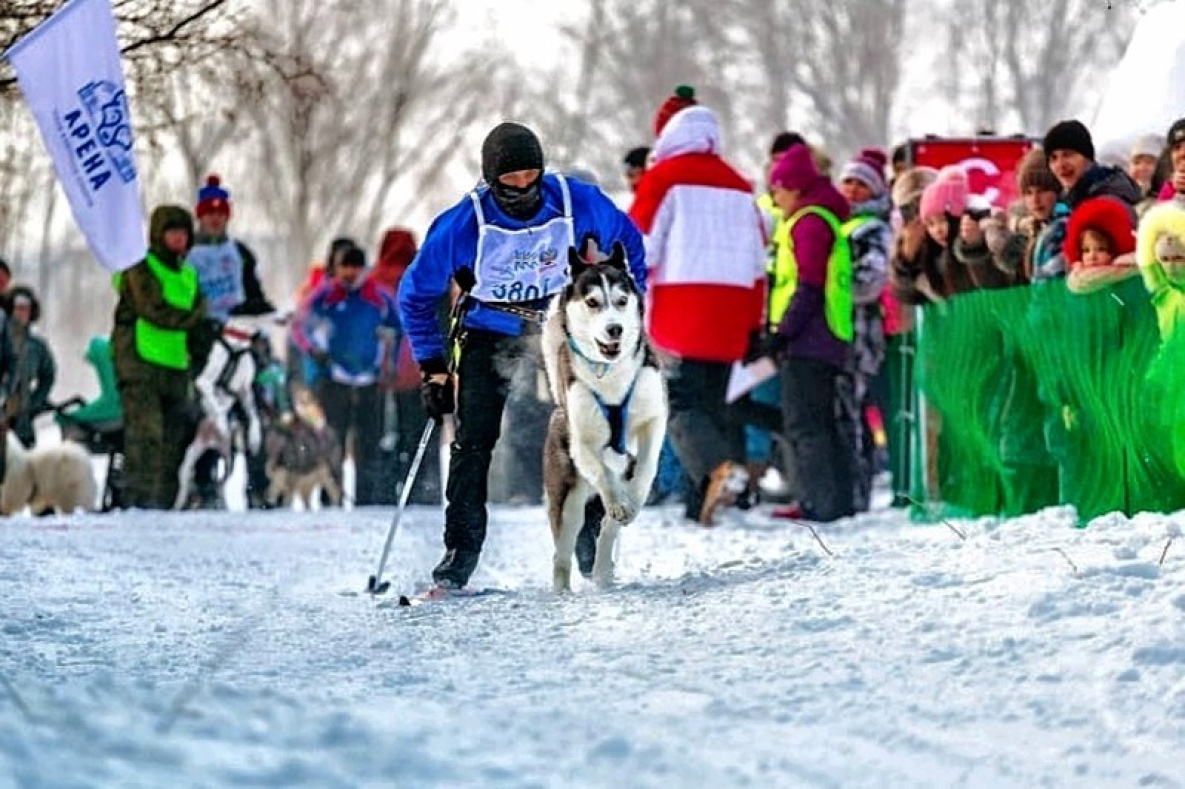 В Комсомольске-на-Амуре готовят соревнования собак и лыжников