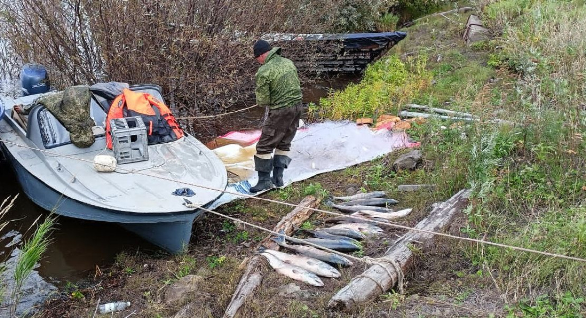 Рыбак из Николаевска-на-Амуре «купил» себе срок за 450 тыс рублей