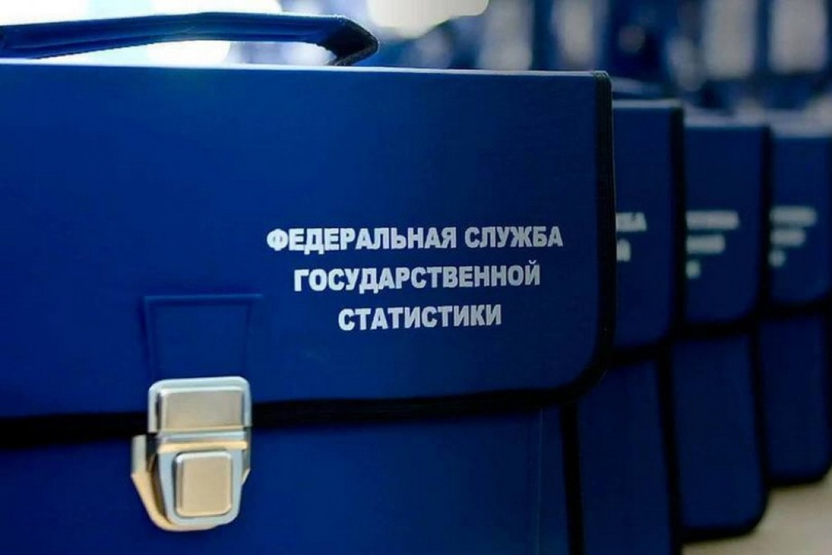 Бизнес Хабаровского края оштрафуют за уклонение от переписи
