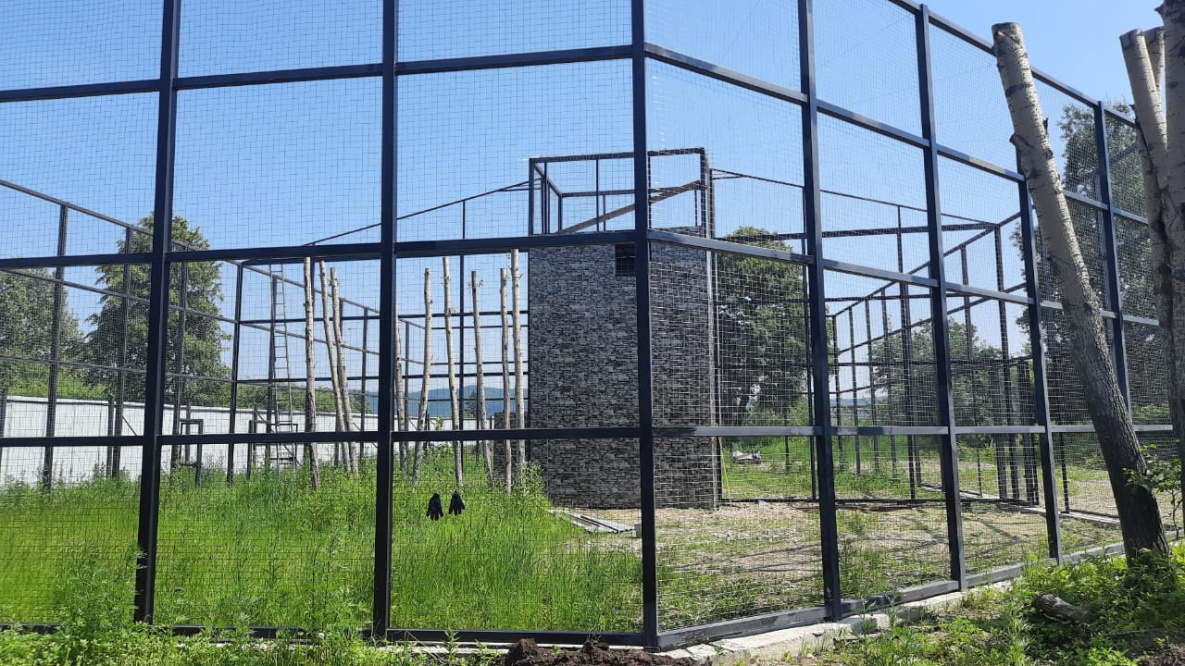 Орланам комсомольского зооцентра «Питон» достраивают новый дом