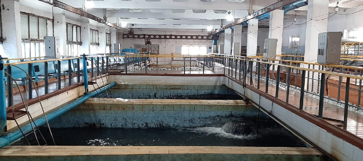 Провал в Хабаровске заставил комсомольчан усиленно очищать воду