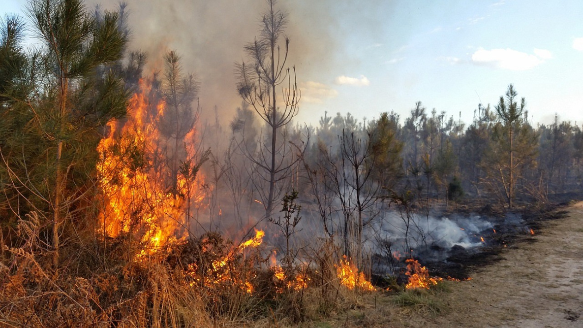 В четырёх районах Хабаровского края готовятся к пожароопасному сезону