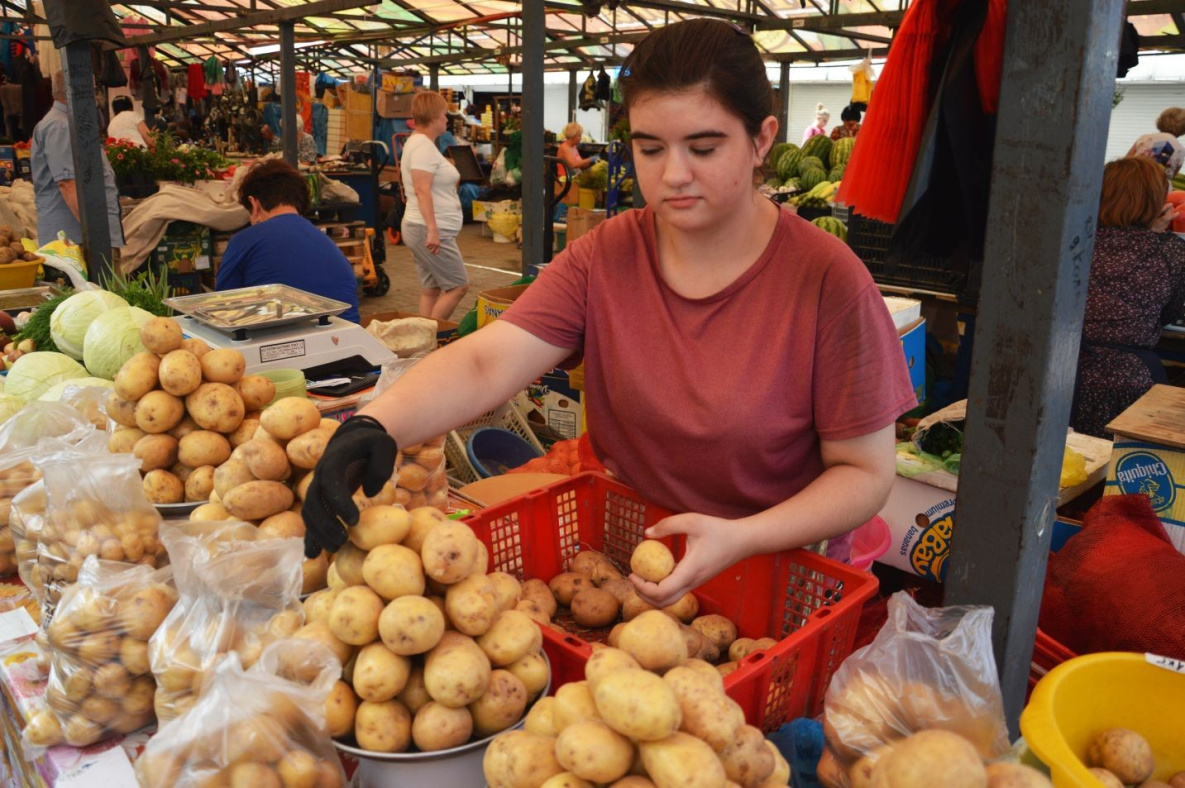 Фермеры Хабаровского края ожидают богатый урожай картофеля