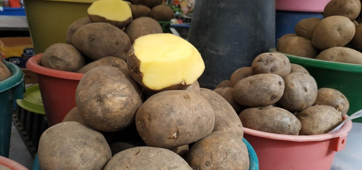 В Хабаровском крае попросят ФАС проверить цены на картофель