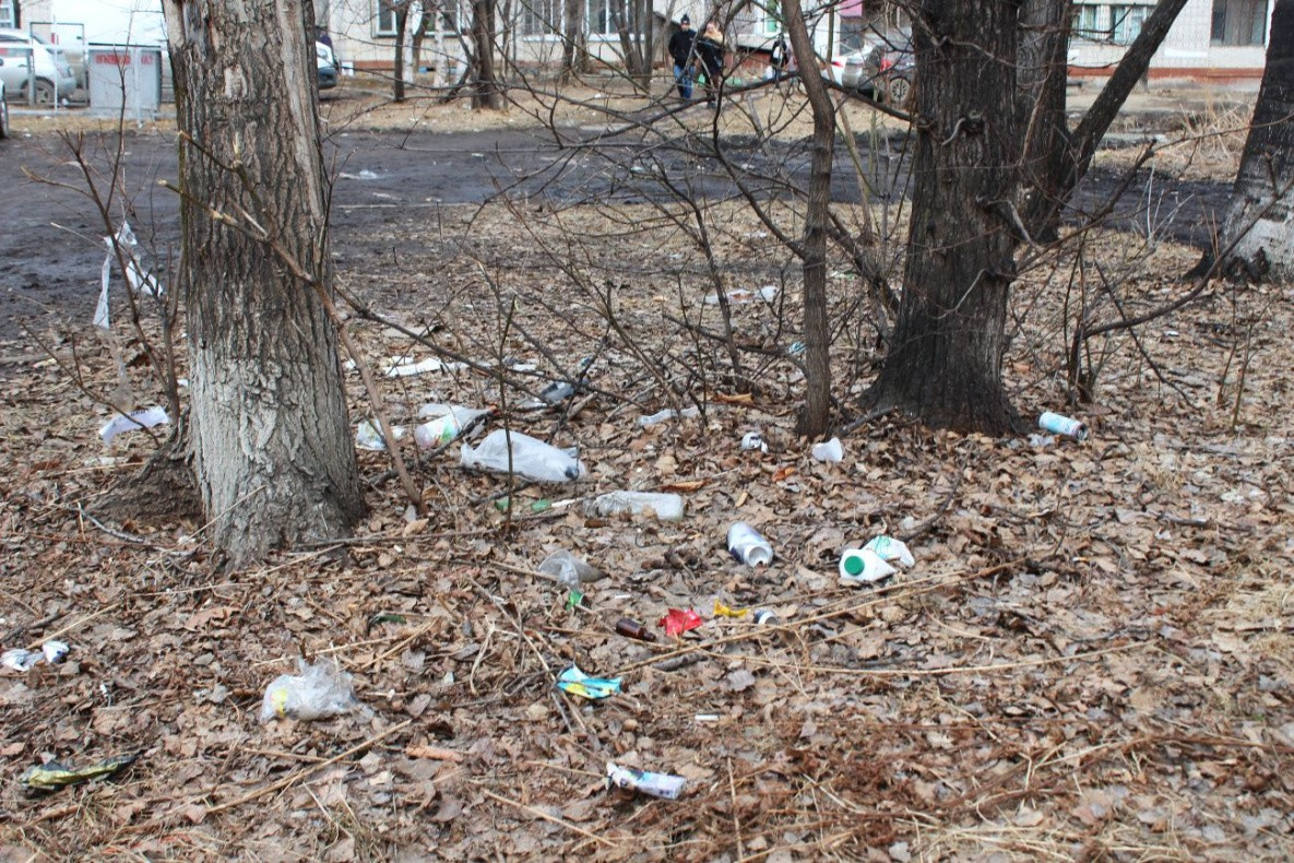 Хабаровск победит мусор во дворах с помощью мобильного приложения