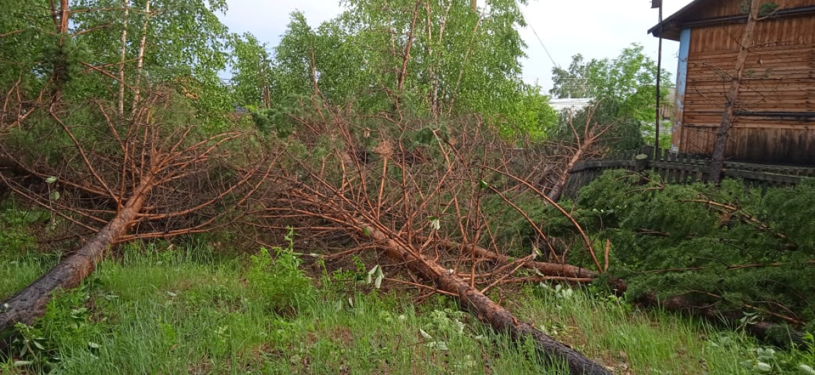 В Хабаровском крае ураган выкорчевал деревья и поломал могильные плиты
