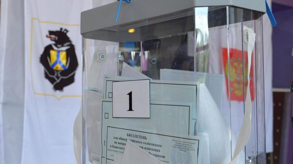 На голосовании в Хабаровске случился «коронавирусный переполох»