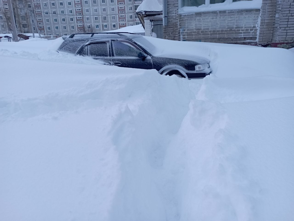 Хабаровске выпал снег. Сильный снегопад. Снегопад в Хабаровске. Засыпало снегом. Снег сугробы.