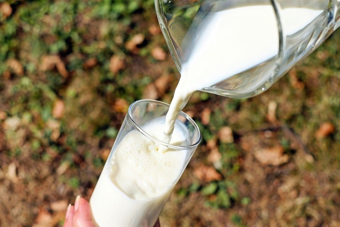 Что почём в районах Хабаровского края: снизились цены на молоко