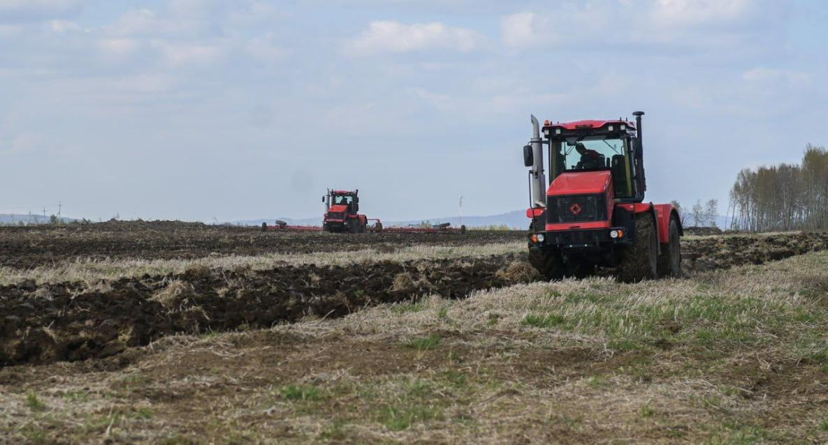 В Хабаровском крае вернут в сельскохозяйственный оборот ещё 300 га земель