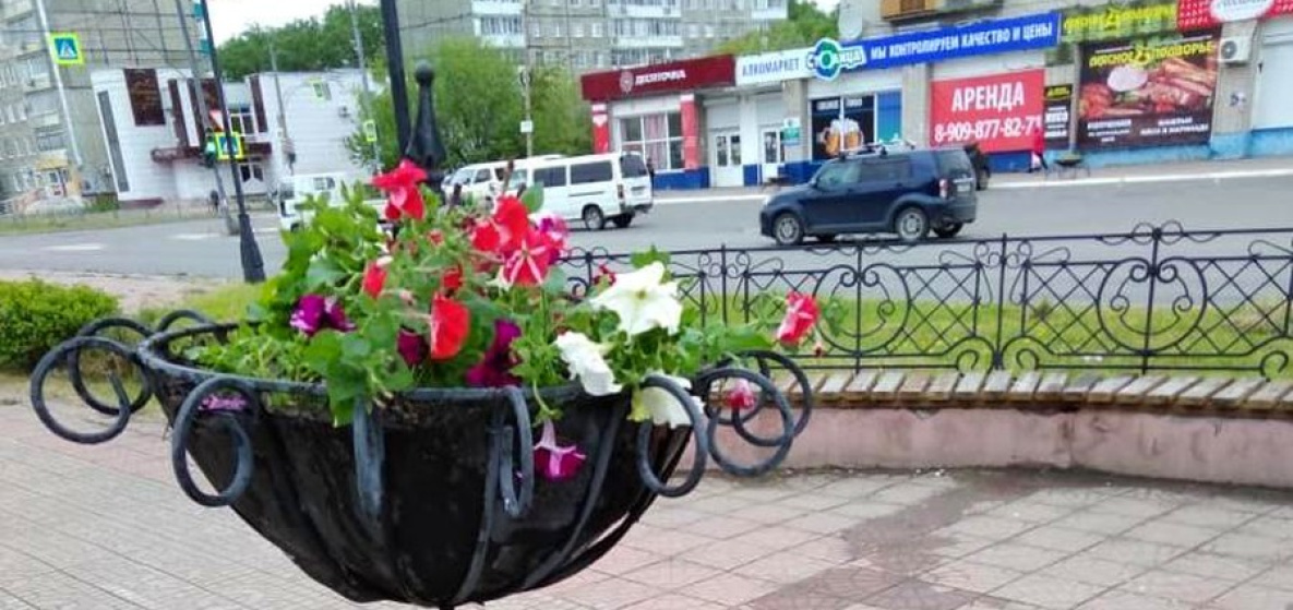 Тридцать территорий Комсомольска украсят цветами ко Дню города