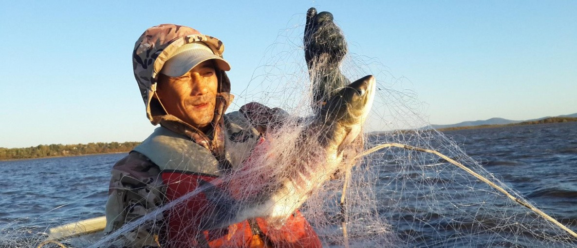 В Хабаровском крае объяснили причины провала лососёвой путины-2021