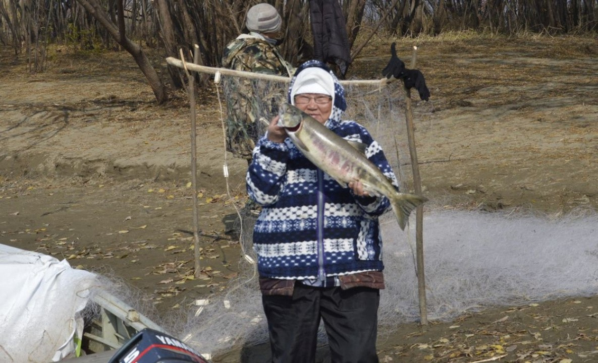 Жители Нанайского района получили 10 тонн красной рыбы